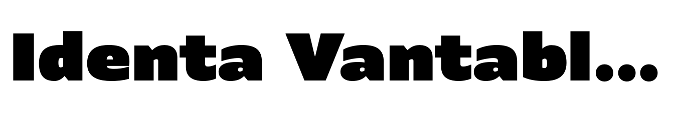 Identa Vantablack